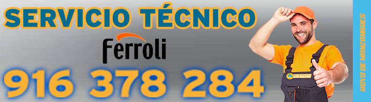 servicio tecnico Ferroli Hoyo de Manzanares.