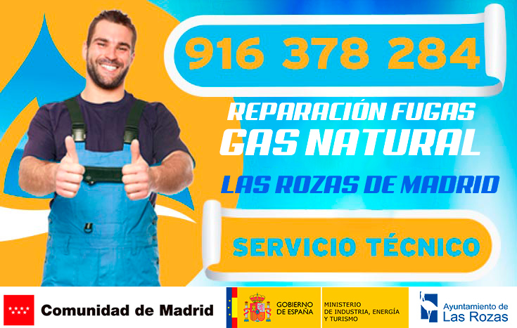 reparación de fugas de gas natural en las rozas de madrid